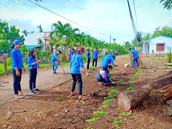 Đường hoa thanh niên ở Hòa Xuân