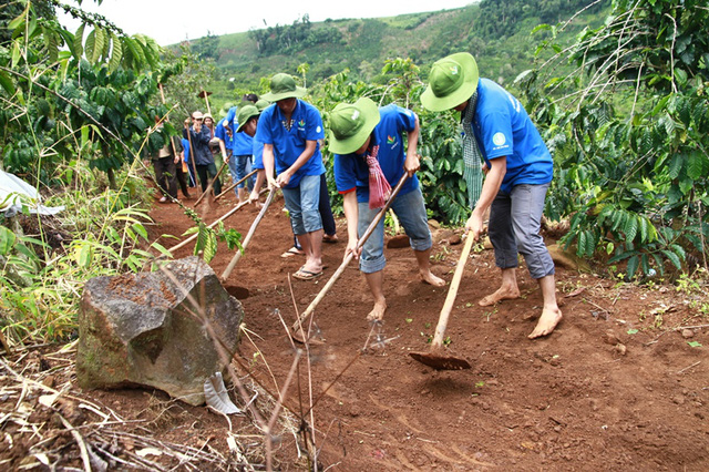 Nhiệm kỳ mới Đoàn sẽ có 3 phong trào hành động và 3 chương trình đồng hành với thanh niên 