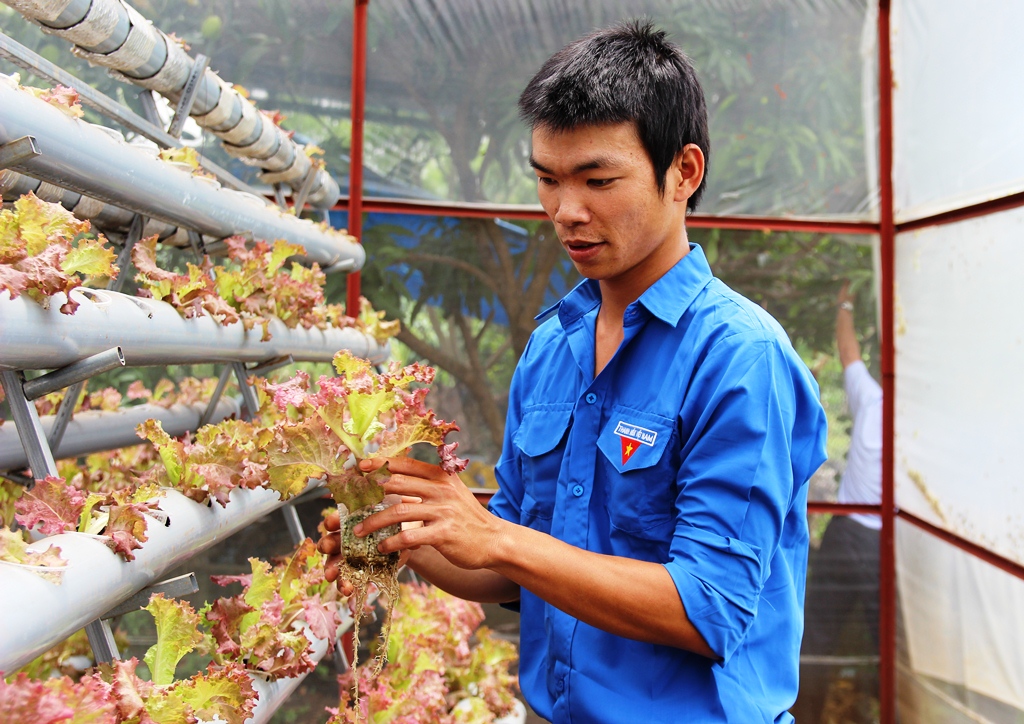 Huyện Đoàn Krông Năng: xây dựng được 13 mô hình kinh tế điểm