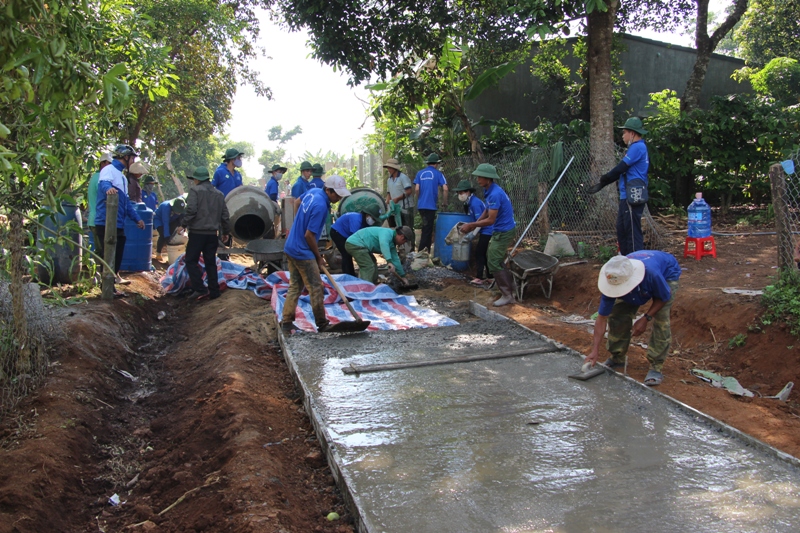 Mặt trận Krông Pắc: đa dạng các nội dung khởi động Chiến dịch Thanh niên tình nguyện Mùa hè xanh năm 2017