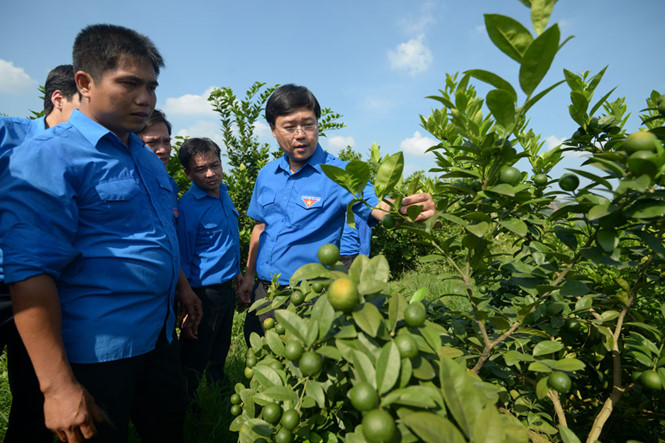   Thúc đẩy đam mê, tinh thần khởi nghiệp trong thanh niên 