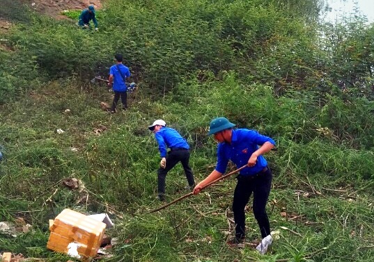 Đoàn thị trấn buôn Trấp ra quân phát dọn cây mai dương