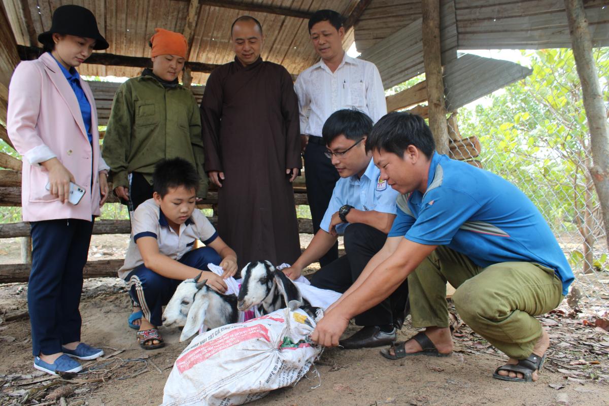  “NGÂN HÀNG DÊ GIỐNG” ĐẶC BIỆT DÀNH CHO HỌC TRÒ NGHÈO