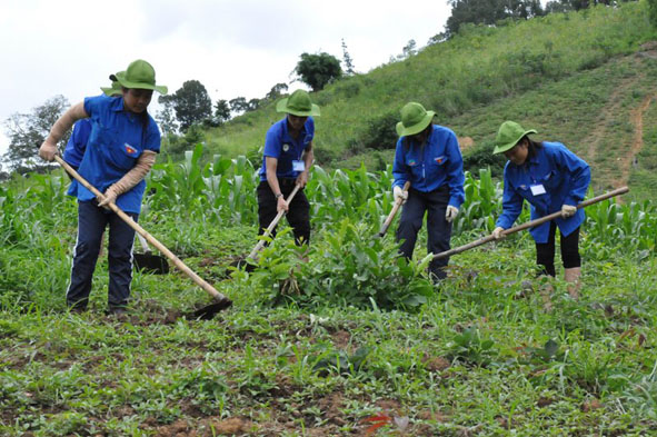 Thanh niên Krông Ana phát huy vai trò xung kích