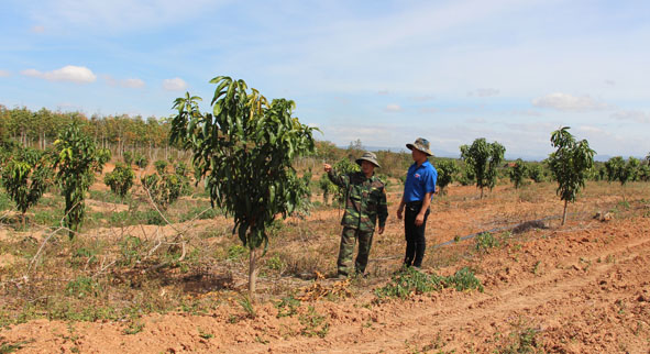 Nông dân Ea Súp giúp nhau phát triển kinh tế