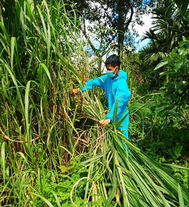 ÁO XANH XUNG KÍCH Ở VÙNG TÂM DỊCH