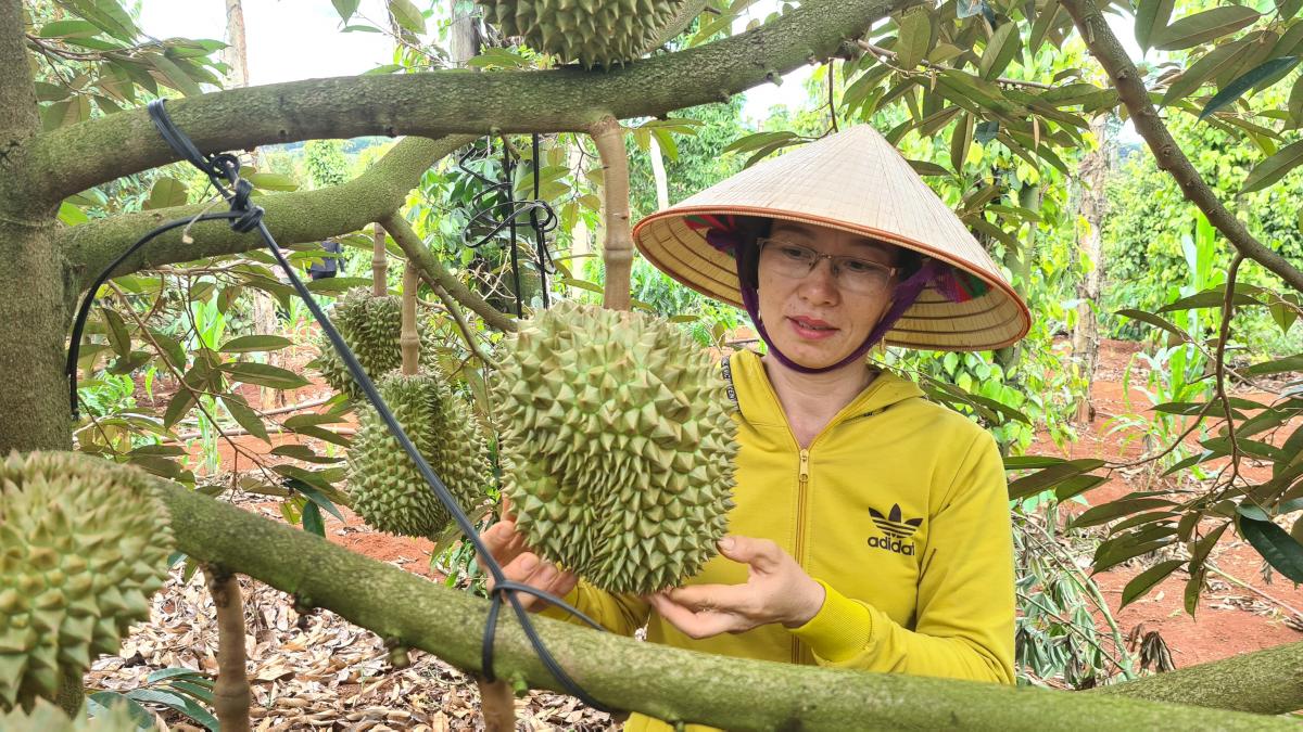 NHỮNG PHỤ NỮ NĂNG ĐỘNG, LÀM KINH TẾ GIỎI