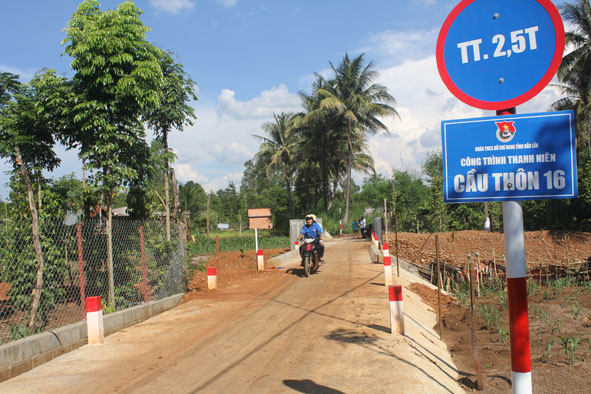 Niềm vui từ những "Cây cầu thanh niên"