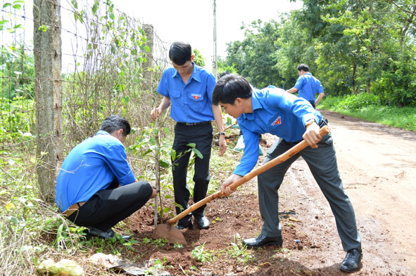 Mùa hè tình nguyện