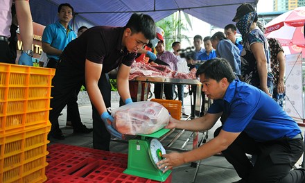 Áo xanh tình nguyện hỗ trợ hộ chăn nuôi, trợ giá người tiêu dùng