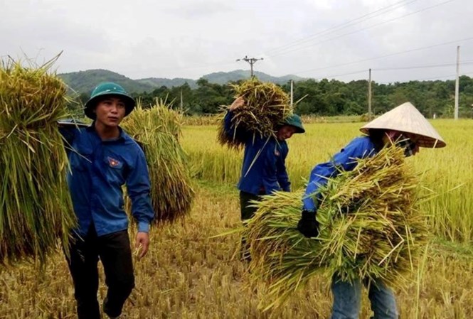 Xúc động sắc áo xanh tình nguyện giúp dân vùng bão