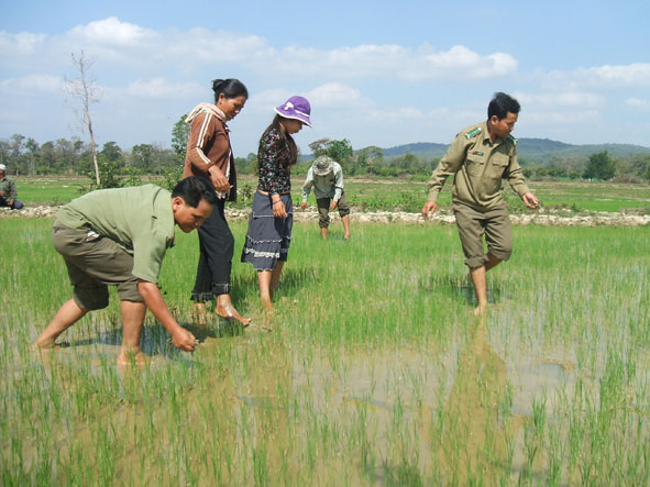 Dân vận khéo thúc đẩy phát triển vùng dân tộc thiểu số