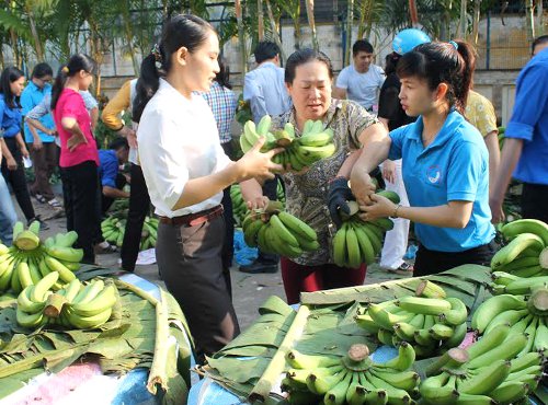 Đồng Nai: Hiệu quả ban đầu từ chiến dịch "Chuối nghĩa tình"