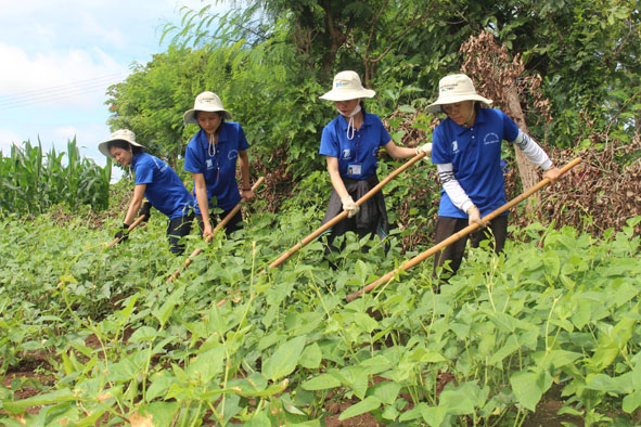 Phát huy vai trò xung kích của thanh niên