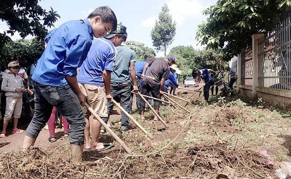 Tuổi trẻ Krông Ana xung kích vì cuộc sống cộng đồng