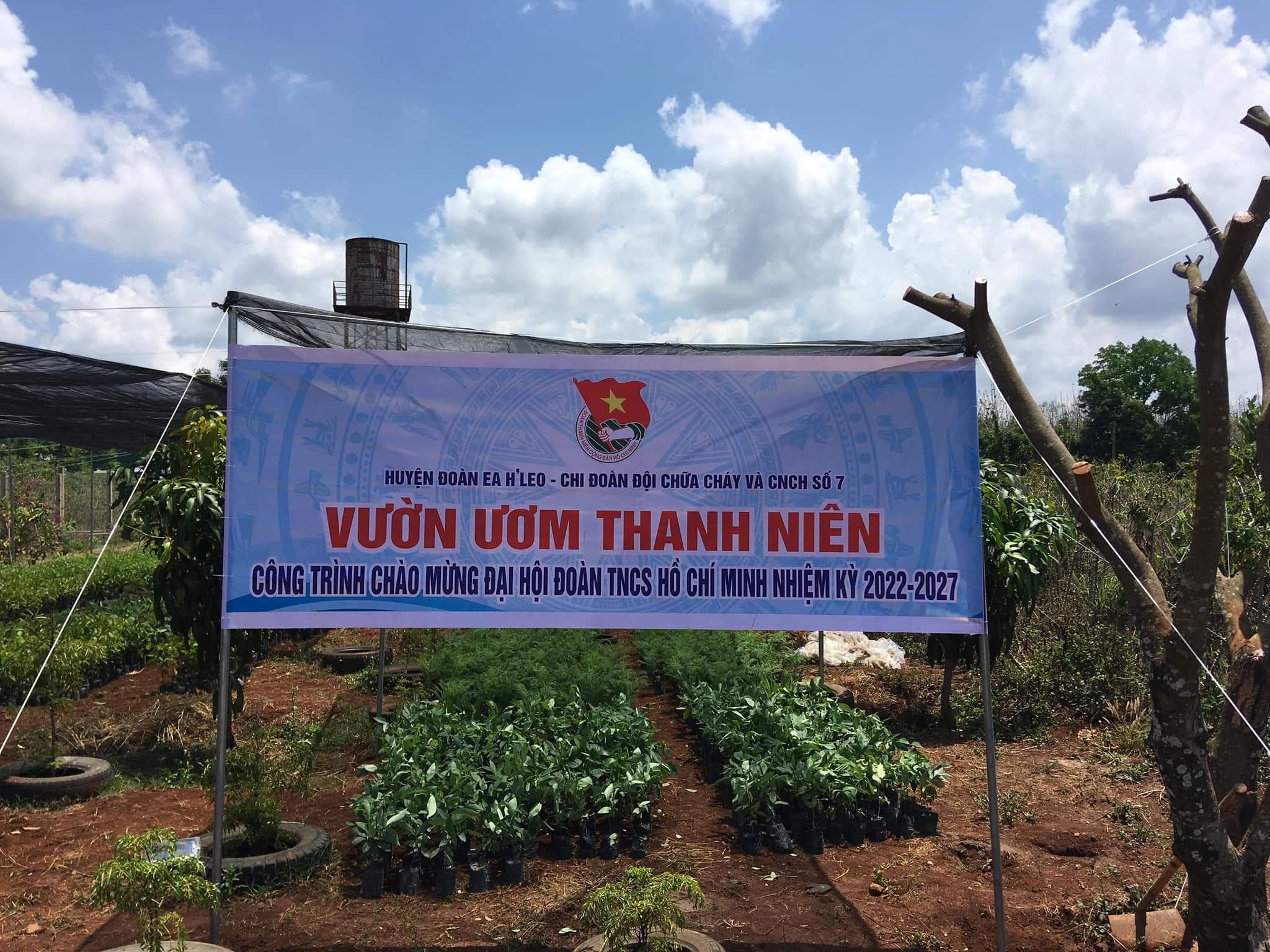 RA MẮT MÔ HÌNH “VƯỜN ƯƠM THANH NIÊN” TẠI THỊ TRẤN EA DRĂNG, HUYỆN EA H’LEO