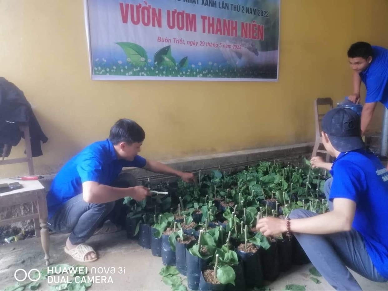 MÔ HÌNH “VƯỜN ƯƠM THANH NIÊN” BUÔN TRIẾT, HUYỆN LẮK