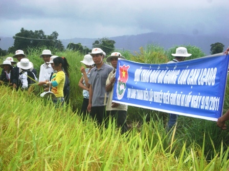 Sức sống mới ở Thôn Thanh niên lập nghiệp