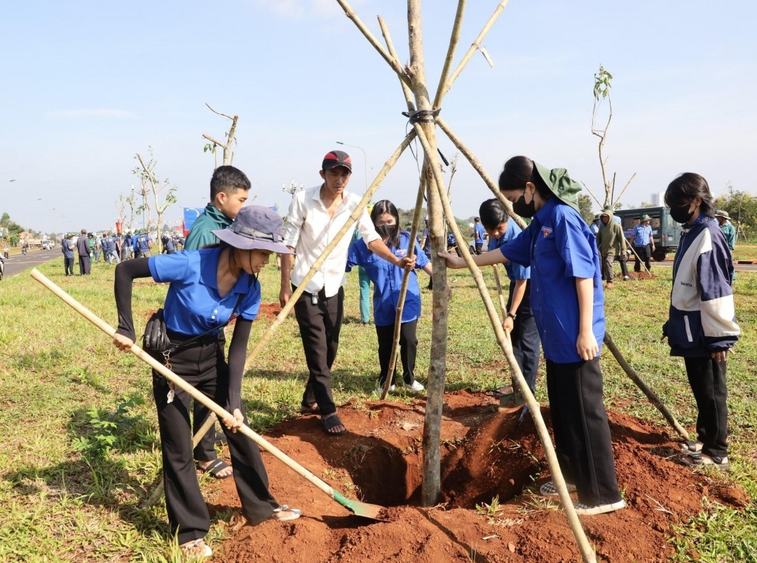 TP. Buôn Ma Thuột: Phát động trồng cây xanh hưởng ứng Tết trồng cây và Ngày Môi trường thế giới